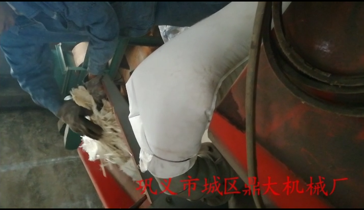 ����䓷���ҕ�l