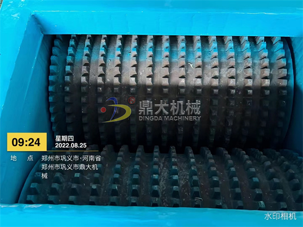 �p�X݁����C�X����